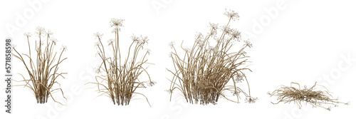 Savanna dried grass field cutout backgrounds 3d illustration png