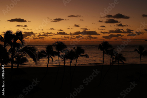 Sunset with silhouette of palm trees. High quality photo