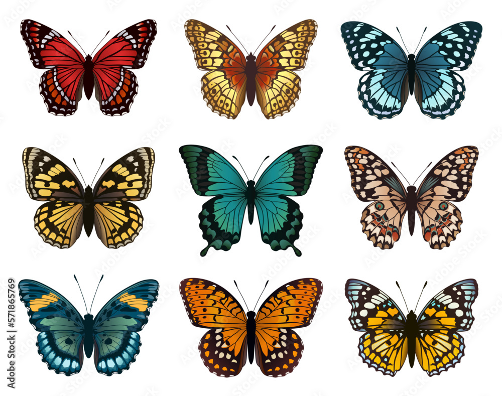 Fototapeta premium Collection of multicolored butterflies. Vector illustration.
