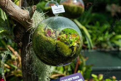 Photography Singapore's marina bay garden