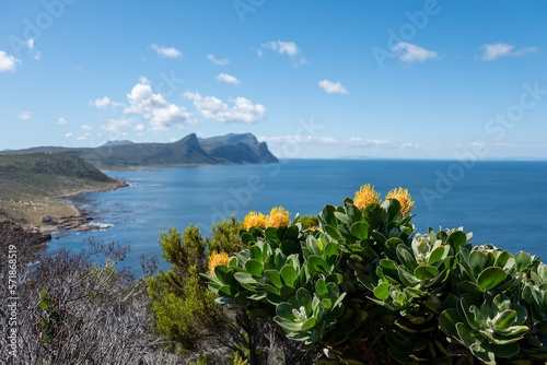 South African coast