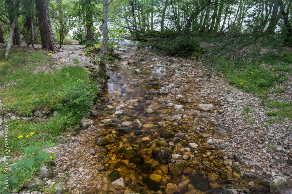Fototapeta premium Landscape of the Loch Maree, Scotland, UK