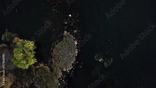 Spiral aerial drone top shot of a fly fisherman surrounded my a vegetated river photo