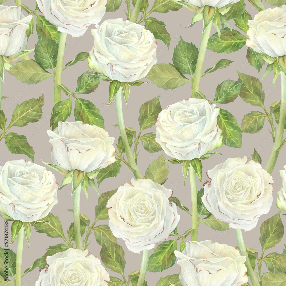 Seamless pattern hedge of white roses and leaves. Watercolor botanical illustration. Isolated on a beige background.Hand painting floral print in vintage style.For design of wrapping paper, fabrics