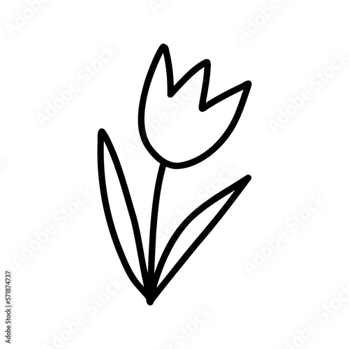 Doodle tulip black outline on a white background. Plant forest flower