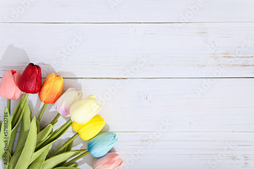 木目調のボタニカルフレーム|チューリップ