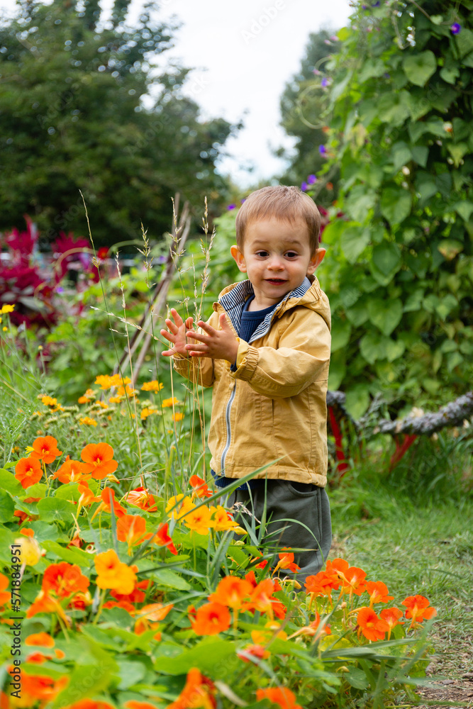 Little boy touching the flowers in the garden Little boy touching the flowers in the garden