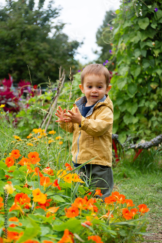 Little boy touching the flowers in the garden 