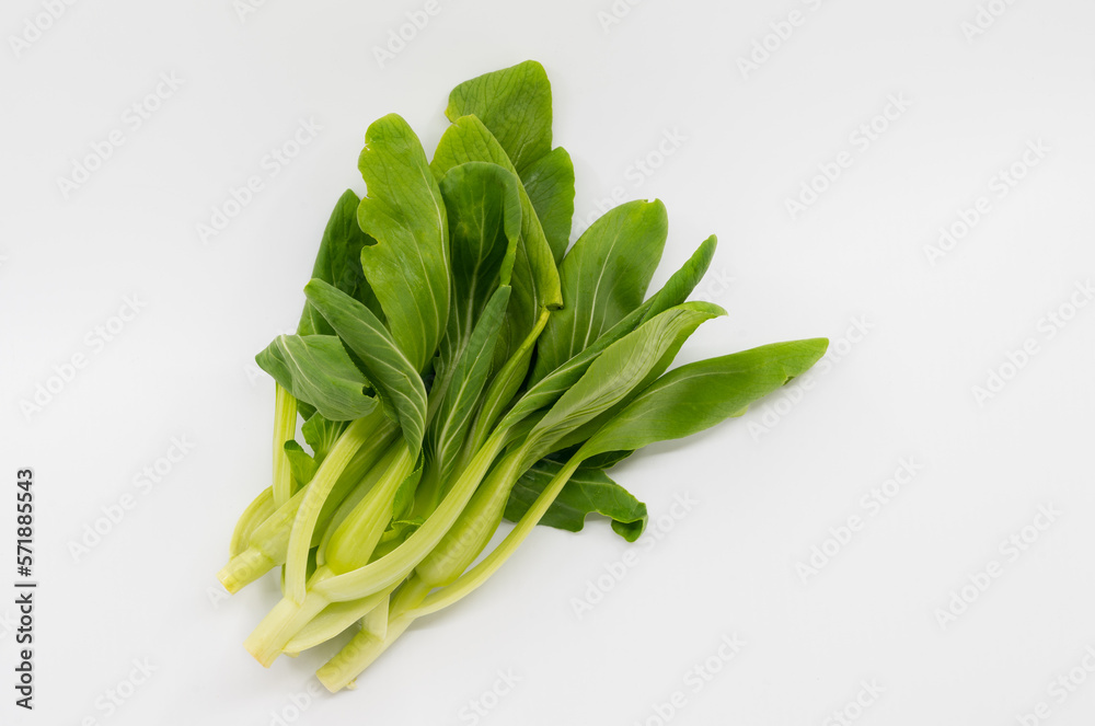 Small group young fresh Pak Chai or Green Pakchoi or Bok Choy, flat lay organic vegetable, the isolated image on white background. Small group young fresh Pak Chai or Green Pakchoi or Bok Choy, flat lay organic vegetable, the isolated image on white background.
