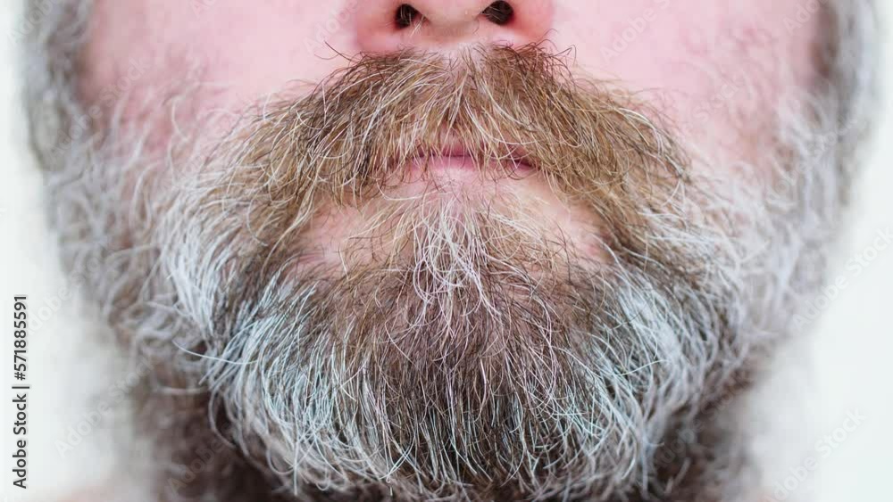 Vidéo Stock Man stroking his big beard. An adult man straightens his