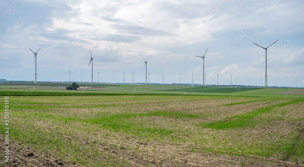 Wind park renewable energy wind turbines behind an agricultural field during cloudy day, mainz, germany Wind park renewable energy wind turbines behind an agricultural field during cloudy day, mainz, germany