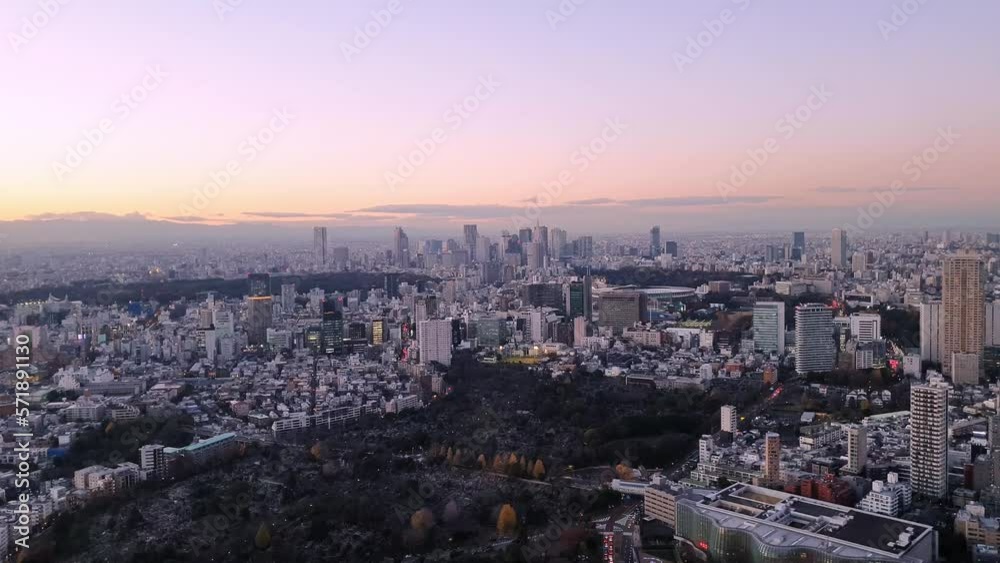 Skyline of Tokyo at Sunset. view over the Aoyama Park and vast city of Tokyo Skyline of Tokyo at Sunset. view over the Aoyama Park and vast city of Tokyo