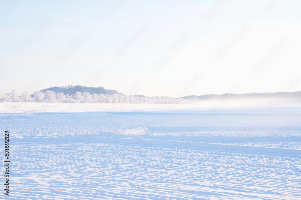 雪が降った翌朝の風景 雪が降った翌朝の風景