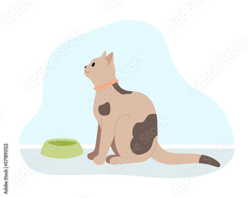 Spotted cat sits indoor in front of bowl. Hungry pet waiting to be fed. Vector illustration.