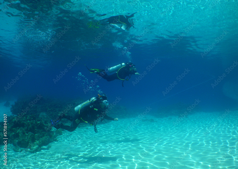 Fototapeta premium divers on a reef in the caribbean sea