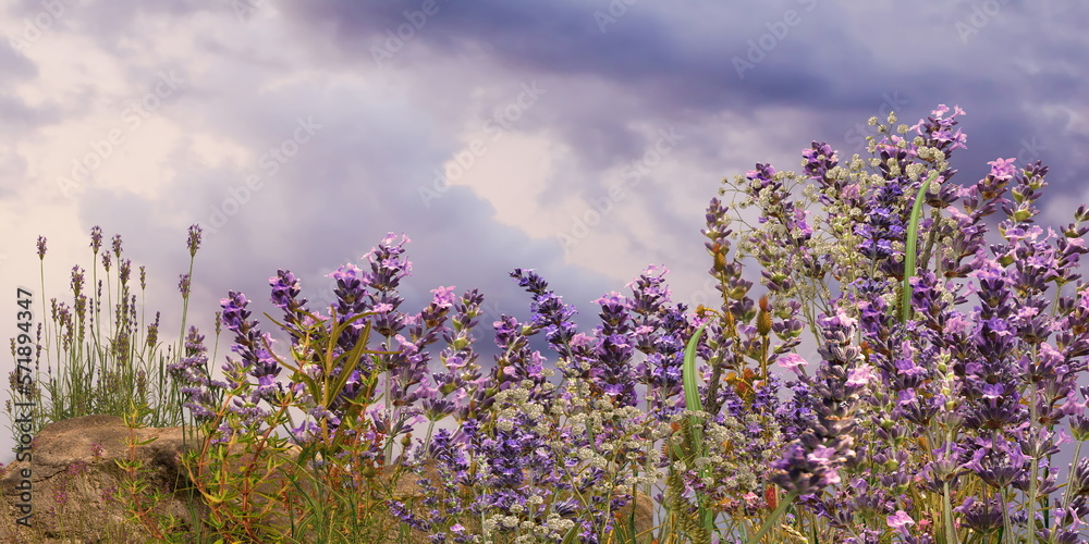 Obraz premium wild flowers lavender field on horizon romantic young people walk , cloudy sky nature landscape impressionism art pain generated ai