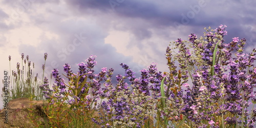 wild flowers lavender field on horizon romantic young people walk , cloudy sky nature landscape impressionism art pain generated ai