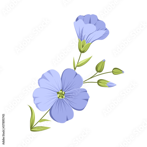 Vector illustration linen flowers. Isolated white background. Individual elements drawn flax.