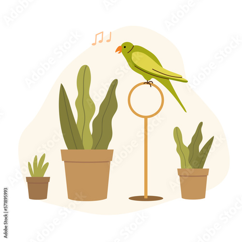 Parrot sits on perch ring among the houseplants. Pet exotic bird sings a song. Vector illustration.