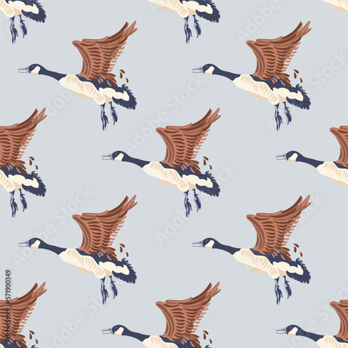 Canada geese. Color flying birds. Seamless pattern. Hand-drawn graphic design. Vector illustration on color background.