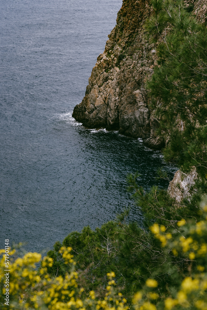 Obraz premium cliffs of moher country