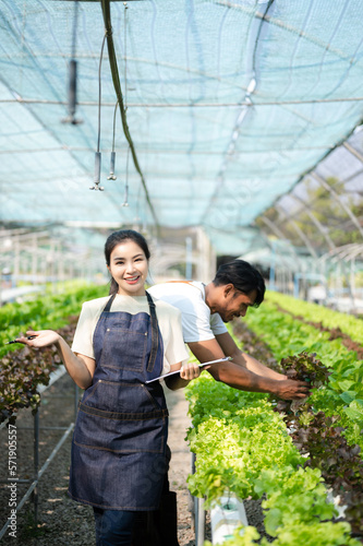  Asian woman and man farmer working together in organic hydroponic salad vegetable farm. using tablet inspect quality of lettuce in greenhouse garden. ..