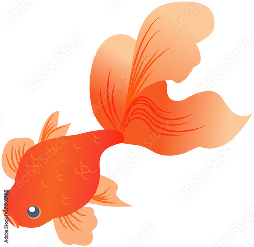 Goldfish gradient icon