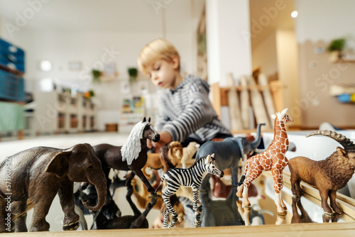 Photography Selective focus on animals with a little boy playing with them in a blurry background at montessori kindergarten
