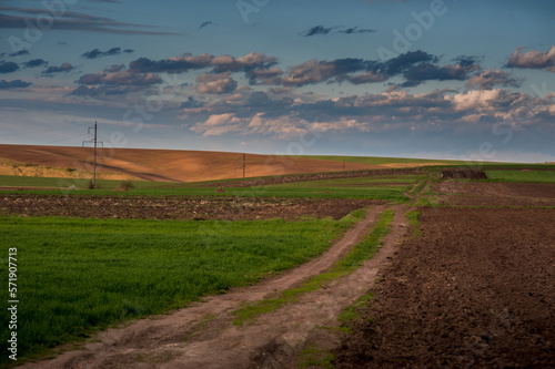 plowed field for sowing, green field of winter wheat, dirt road and hills on ...