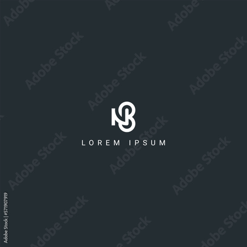 Creative minimal letter NB BN logo monogram icon design vector template.
