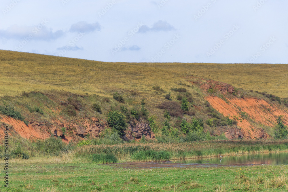 Fototapeta premium steep red clay shores of the lake in summer. herons hunt fish in shallow water in reed beds