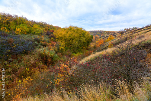 beautiful autumn landscape  mountains  forest with blue sky