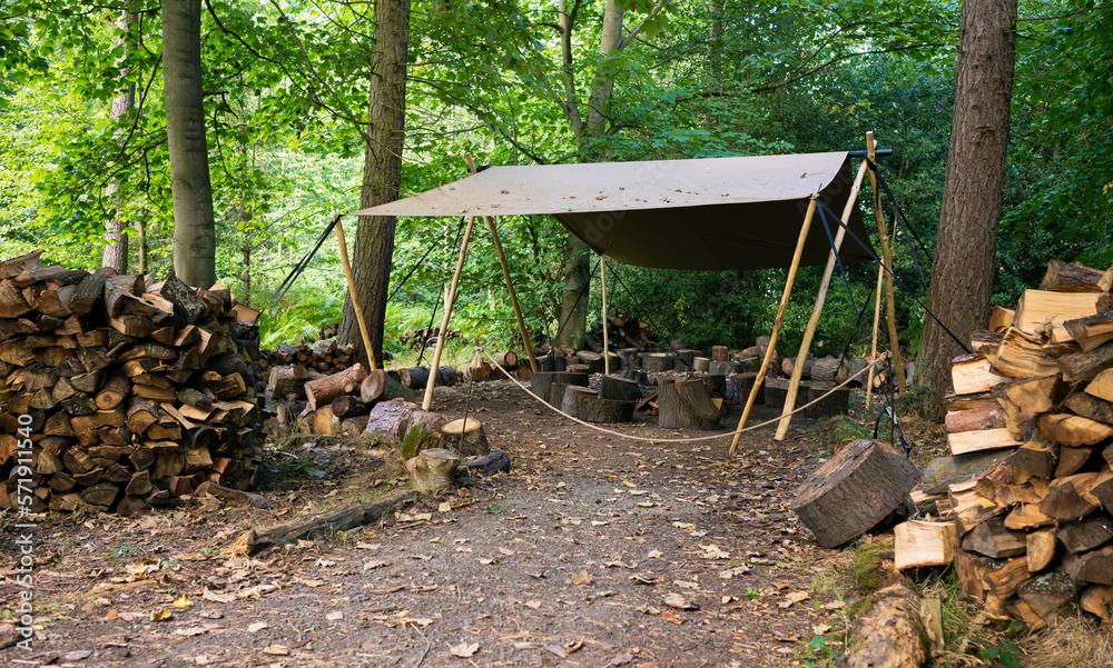 A woodpile and piles of logs at a forest resource preparation area for firewood fuel in UK woodland.