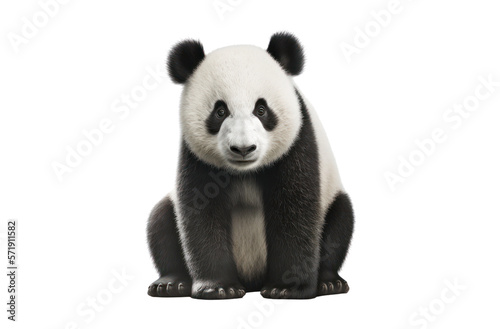 Fototapeta Giant panda isolated on white, , transparent background, PNG, generative ai