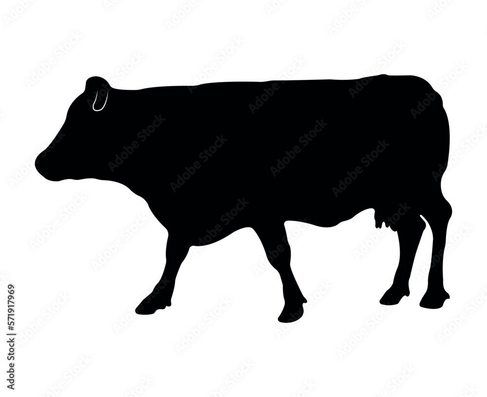 Vector cow silhouette isolated on white background Vector cow silhouette isolated on white background