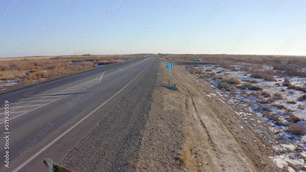 Drone flying over an empty road and past a crossroads sign and a cow crossing the road in the steppe covered with snow Drone flying over an empty road and past a crossroads sign and a cow crossing the road in the steppe covered with snow