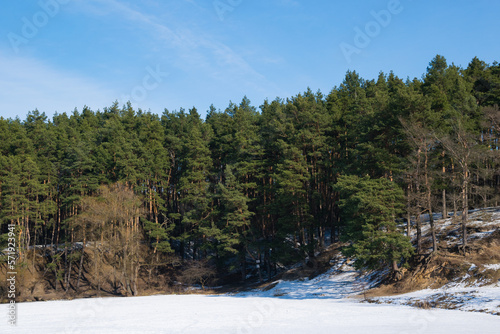 Winter landscape in sunny weather. Coniferous forest in the snow on the bank of a frozen river
