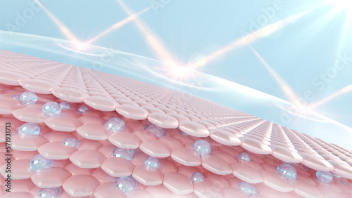 3D Rendering skin cells with UV protection. Skin cell sagging is reduced by serum through the skin. moisturizer for lighting Bright skin tone replaced the dark.