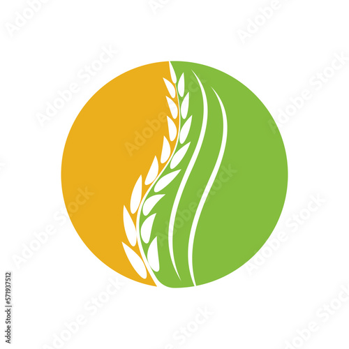 Wheat logo vector icon illustration
