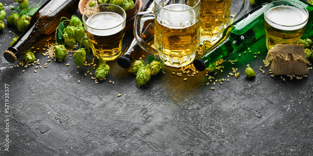 Naklejka premium Fresh beer in glasses and fresh green hops on a black stone background. Banner.