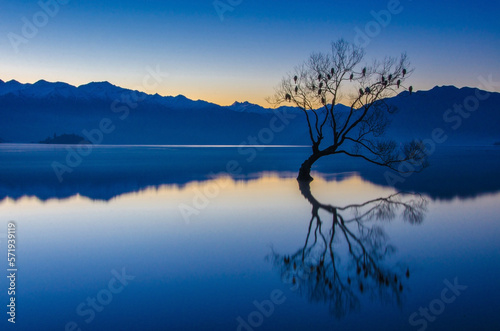 Calm lake with tree surrounded by mountains in evening photo