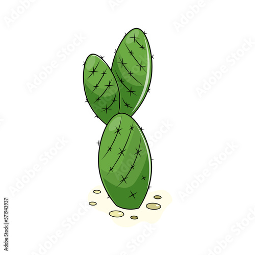 illustration of a green cactus 