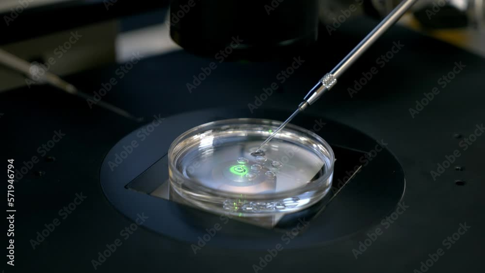 Close Up Of IVF Microscope Needle Used For Artificial Fertilization Of