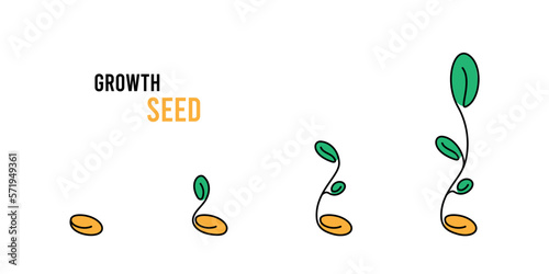 Seed and sprout different progress illustration