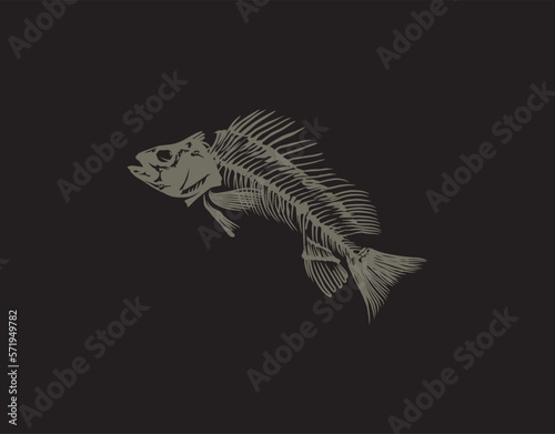 ancient fish fossils vector illustration
