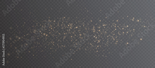 Magic shining golden dust. Small particles of powder dust bokeh effect. Light dust for web design. Vector
