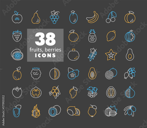 Set of Fruits and Berries vector icon