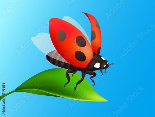 Ladybug, ladybird illustration. Flying ladybird. Nature realistic macro illustration, design for biology book. Red Insect flying from the green leaf. Blue sky background.