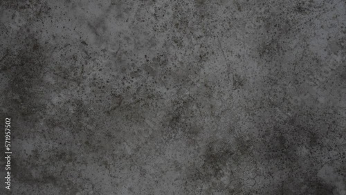 Wallpaper Mural Mold on wall textured background Torontodigital.ca