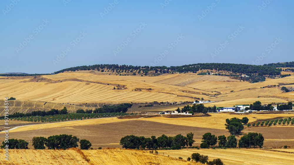 Fototapeta premium Paysage vallonée en plein été